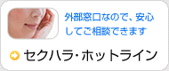 セクハラ・ホットライン