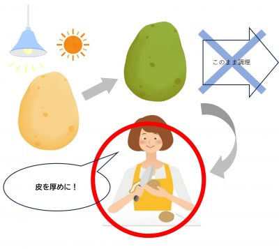 緑色になったジャガイモは…？｜ダイヤル・サービス